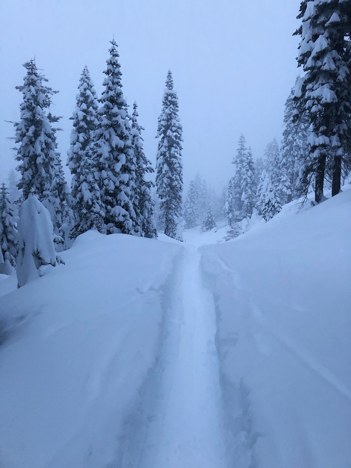Snowshoe trail